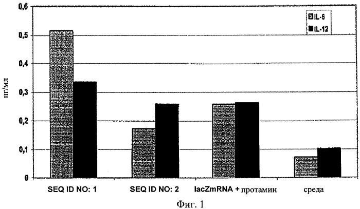 Нуклеиновая кислота формулы (i): glxmgn или (ii): glxmgn, предназначенная для применения прежде всего в качестве иммуностимулятора/адъюванта (патент 2487938)