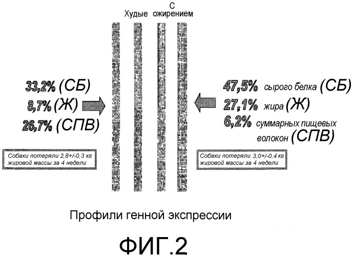 Композиции и способы лечения расстройств, ассоциированных с избыточной массой животных (патент 2492698)