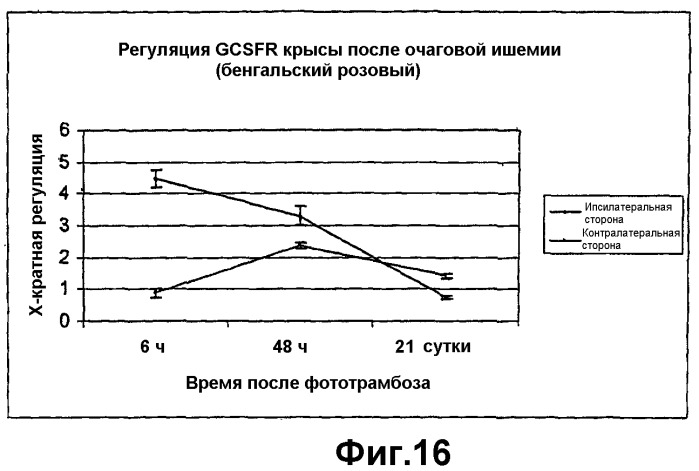 Способы лечения неврологических состояний с применением гематопоэтических факторов роста (патент 2353385)