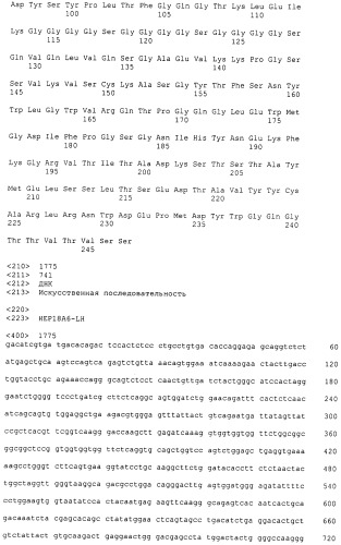 Pscaxcd3, cd19xcd3, c-metxcd3, эндосиалинxcd3, epcamxcd3, igf-1rxcd3 или fap-альфаxcd3 биспецифическое одноцепочечное антитело с межвидовой специфичностью (патент 2547600)