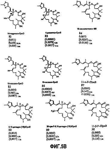 Синтез эпотилонов, их промежуточных продуктов, аналогов и их применения (патент 2462463)