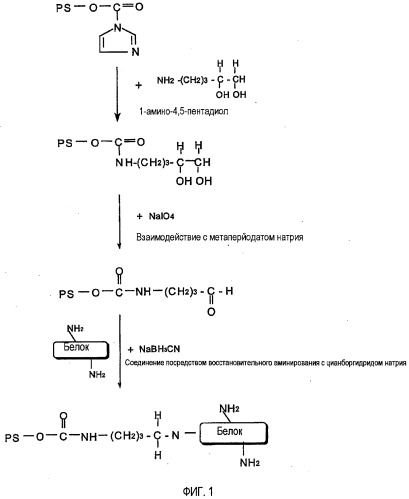 Модифицированные сахариды, их конъюгаты и их изготовление (патент 2531909)