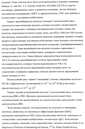 Антитела к рецептору инсулиноподобного фактора роста i и их применение (патент 2363706)