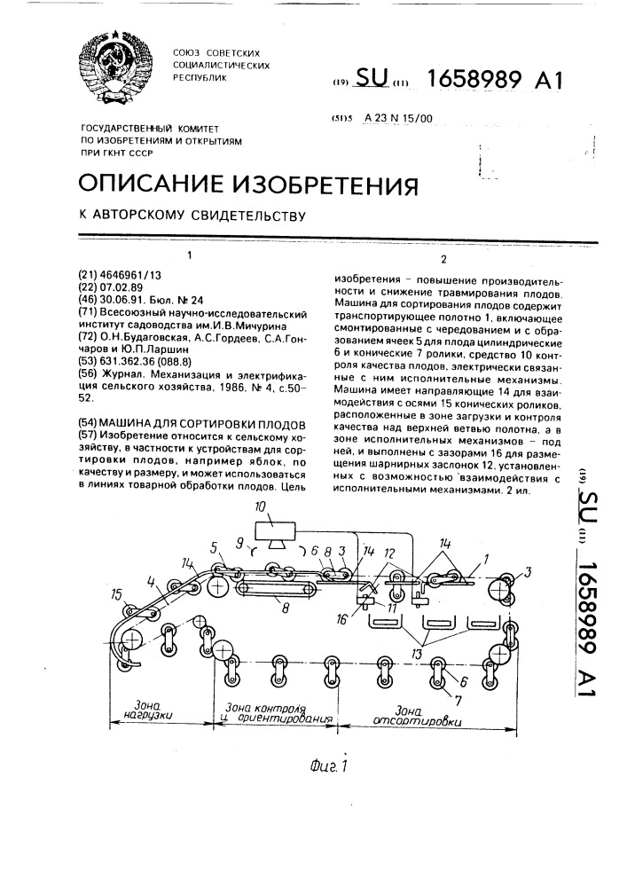 Машина для сортирования плодов (патент 1658989)