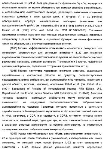 Антитела к il-22 человека и их применение (патент 2467016)