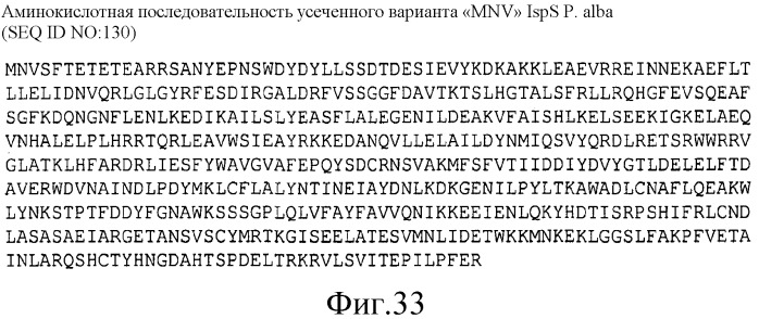 Варианты изопренсинтазы, применяемые для улучшения продуцирования изопрена микроорганизмами (патент 2516343)