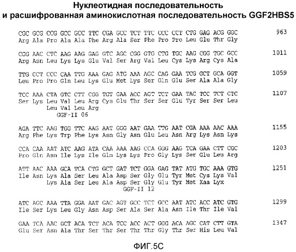 Способ обеспечения требуемых уровней фактора 2 роста глии в плазме (патент 2530650)