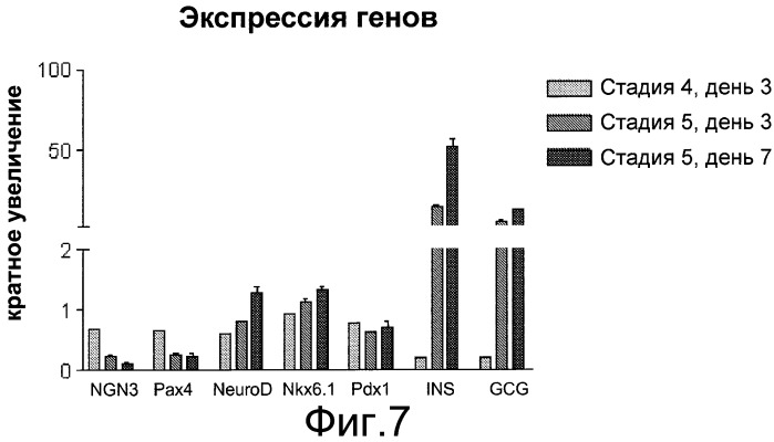 Дифференцировка эмбриональных стволовых клеток человека (патент 2540021)