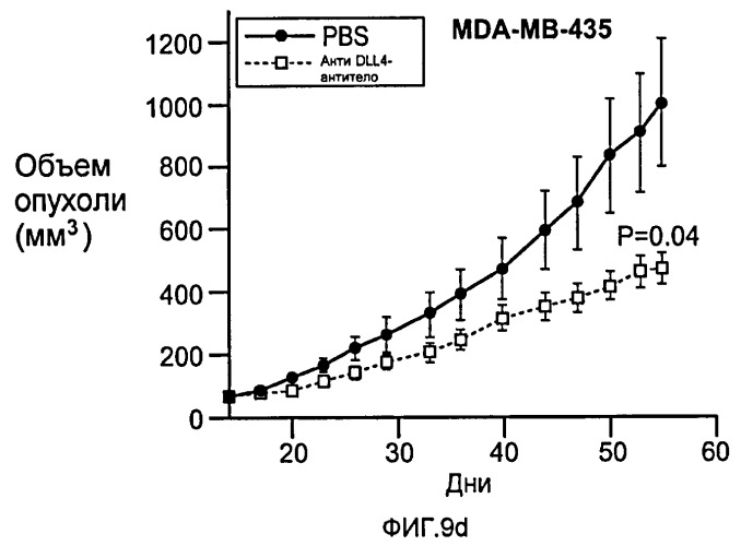 Антитела против dll4 и способы их применения (патент 2415869)
