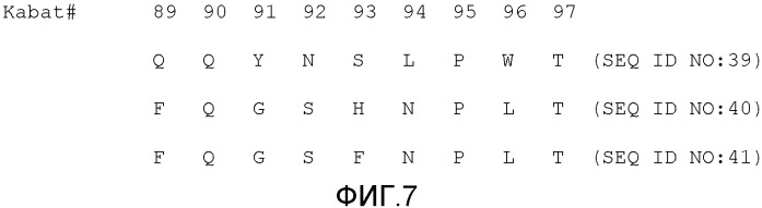 Композиции и способы для диагностики и лечения опухоли (патент 2563359)