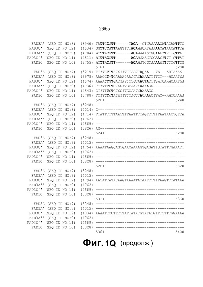 Локусы fad3 для выполнения операций и соответствующие связывающиеся со специфическими сайтами-мишенями белки, способные к вызову направленных разрывов (патент 2665811)