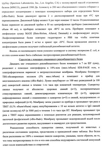 Гены и белки brachyspira hyodysenteriae и их применение (патент 2440369)