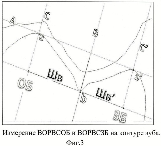 Способ измерения размеров зубов, зубных бугров и их внутренних и наружных скатов (патент 2438617)