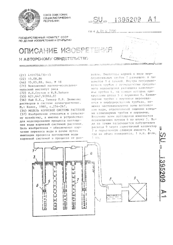 Модель корневой системы растений (патент 1395209)
