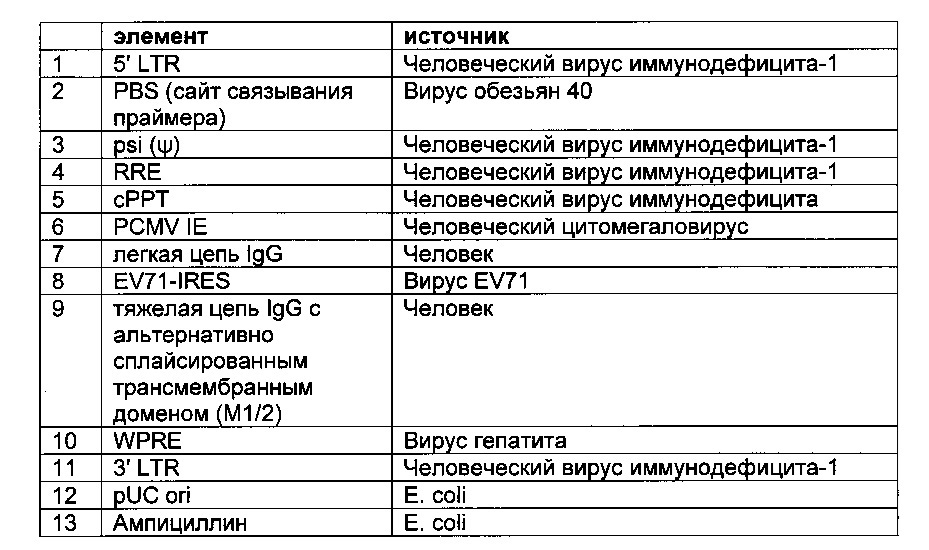 Система индикации на основе полноразмерного антитела для эукариотических клеток и ее применение (патент 2625033)