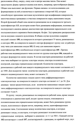 Дифференцирующий и специфический олигонуклеотиды для идентификации последовательностей днк инфекционных агентов в биологических материалах, способ видовой идентификации инфекционных агентов, биочип и набор для осуществления этого способа (патент 2348695)