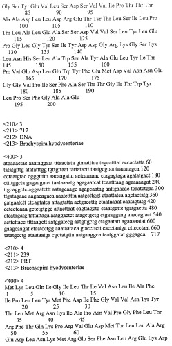 Гены и белки brachyspira hyodysenteriae и их применение (патент 2440369)