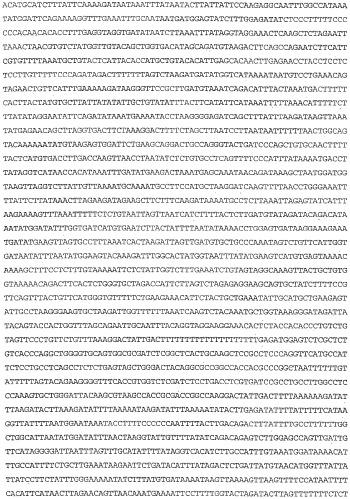 Применение s1p (патент 2362565)