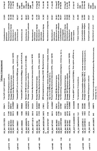 Гены corynebacterium glutamicum, кодирующие белки метаболических путей (патент 2306339)