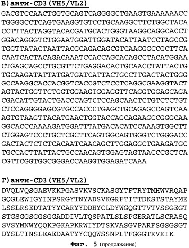 Полиспецифические деиммунизирующие cd3-связующие (патент 2401843)