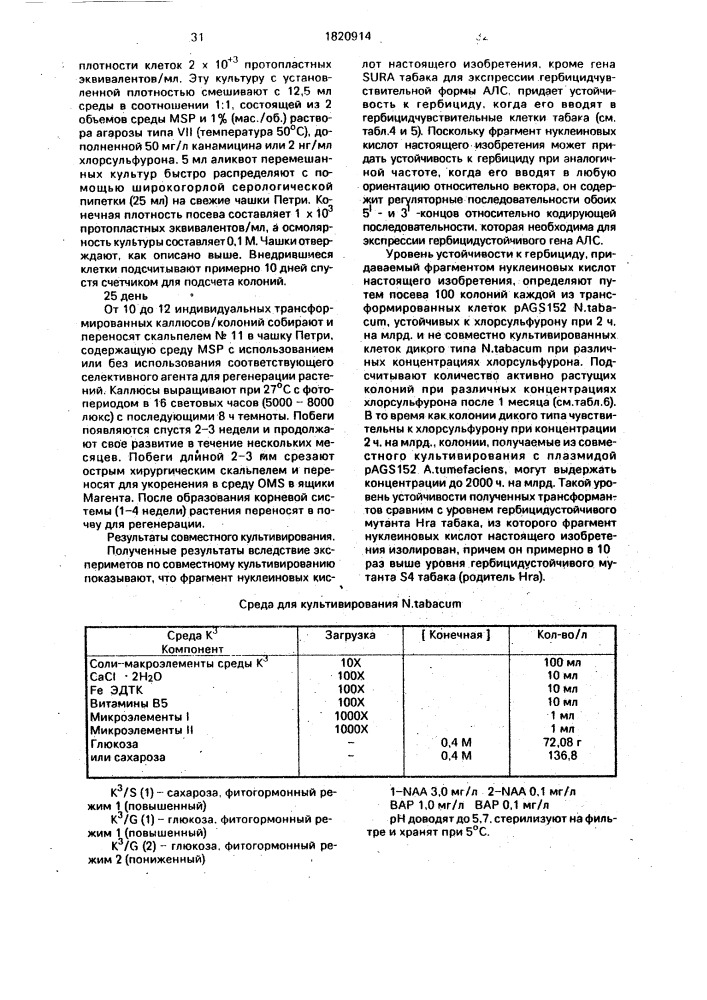 Способ получения двудольных растений, устойчивых к сульфонилмочевине (патент 1820914)