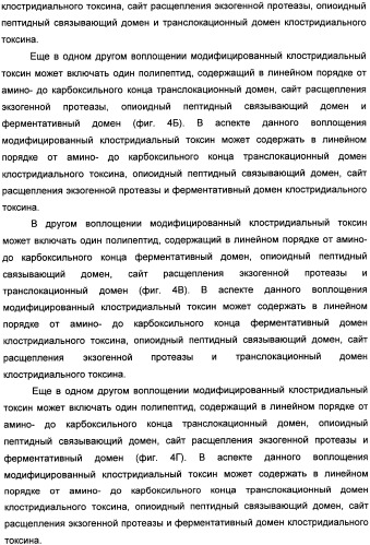 Способы лечения мочеполовых-неврологических расстройств с использованием модифицированных клостридиальных токсинов (патент 2491086)