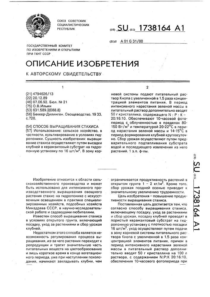Способ выращивания стахиса (патент 1738164)