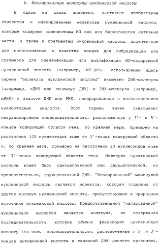Гены corynebacterium glutamicum, кодирующие белки метаболических путей (патент 2306339)