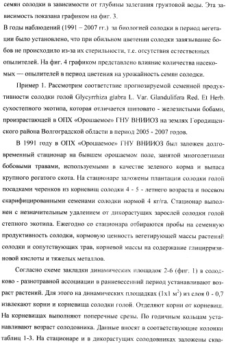 Способ прогнозирования семенной продуктивности солодки (патент 2364078)