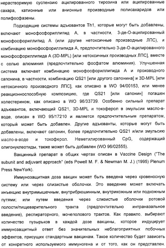 Вакцинные композиции, содержащие липополисахариды иммунотипа l2 и/или l3, происходящие из штамма neisseria meningitidis igtb- (патент 2364418)