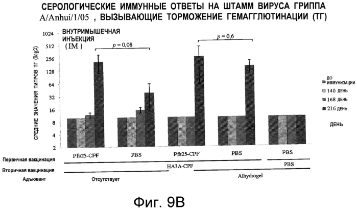 Вирусоподобные частицы, содержащие белки-мишени, слитые с белками оболочки растительных вирусов (патент 2571223)