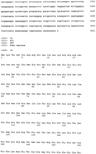 Пептиды foxm1 и вакцины, содержащие их (патент 2560431)