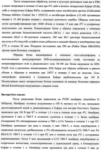 Лечение нейродегенеративных заболеваний (патент 2489155)