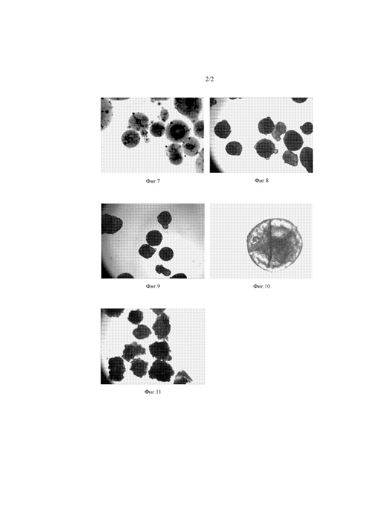 Микрокапсулы, содержащие живые микроорганизмы, и их применение (патент 2652277)
