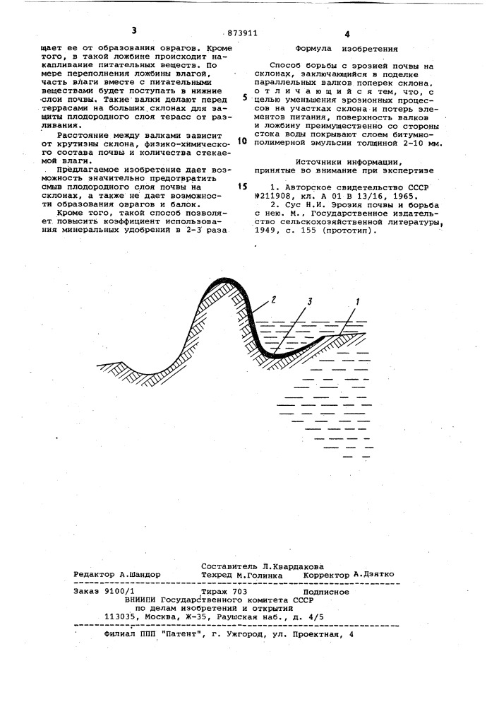 Способ борьбы с эрозией почвы на склонах (патент 873911)