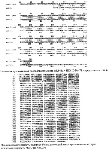 Антигены neisseria meningitidis (патент 2343159)