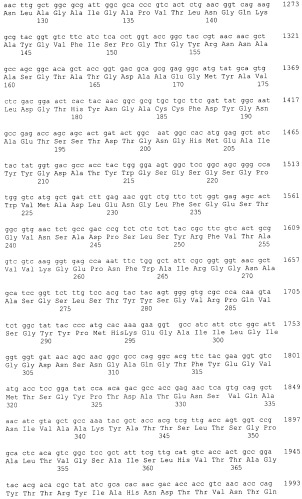 Ген abfb-1 penicillium funiculosum (патент 2388824)