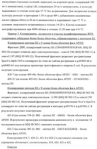 Вирусоподобные частицы, включающие гибридный белок белка оболочки бактериофага ар205 и антигенного полипептида (патент 2409667)