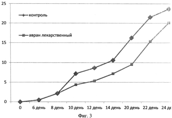 Средство, обладающее противоопухолевым и иммуномодулирующим действием (патент 2519769)