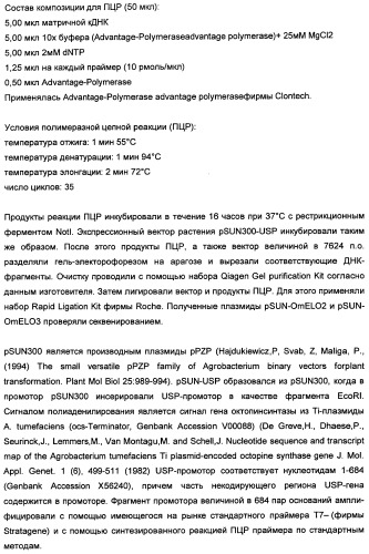 Способ получения полиненасыщенных кислот жирного ряда в трансгенных организмах (патент 2447147)