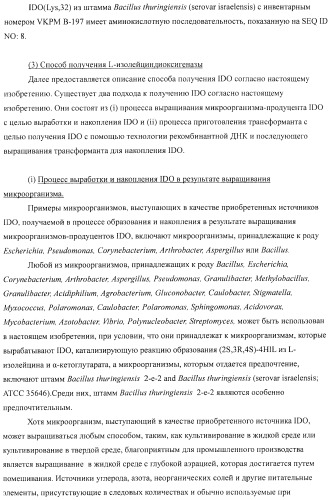Способ продукции 4-гидрокси-l-изолейцина (патент 2402608)