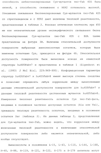 Антитела, сконструированные на основе цистеинов, и их конъюгаты (патент 2412947)