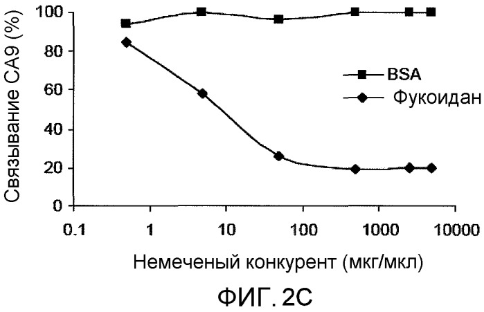 Композиции и способы применения белка са9 для стимуляции иммунного ответа (патент 2497543)