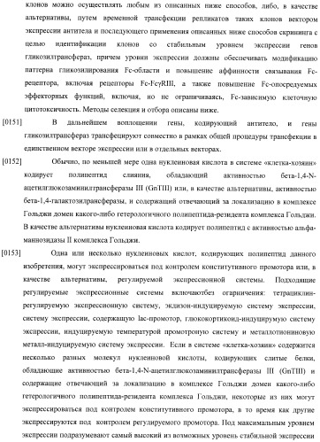 Конструкции слияния и их применение для получения антител с повышенными аффинностью связывания fc-рецептора и эффекторной функцией (патент 2407796)