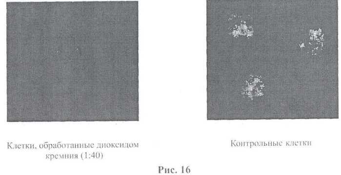 Композиции и способы для уничтожения клеток (патент 2471349)