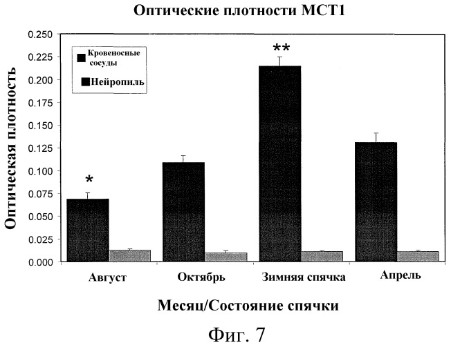 Защитные композиции от ишемии/реперфузии и способы применения (патент 2459624)