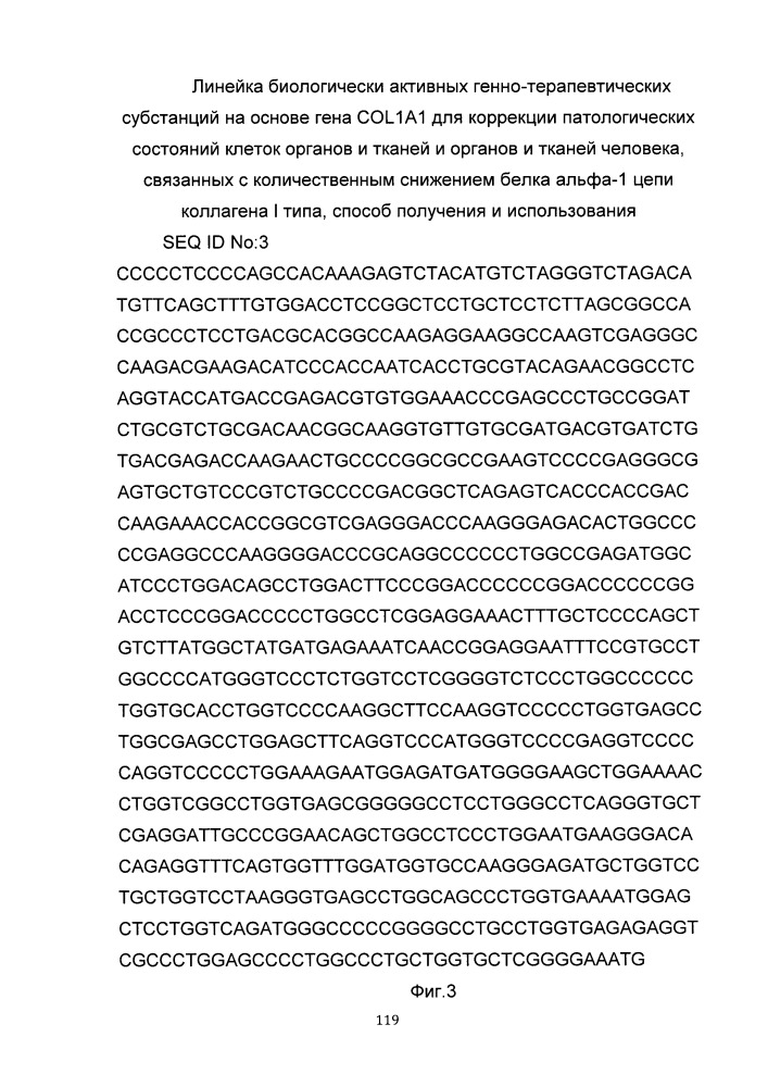 Линейка биологически активных генно-терапевтических субстанций на основе гена col1a1 для коррекции патологических состояний клеток органов и тканей и органов и тканей человека, способ получения и использования (патент 2652350)