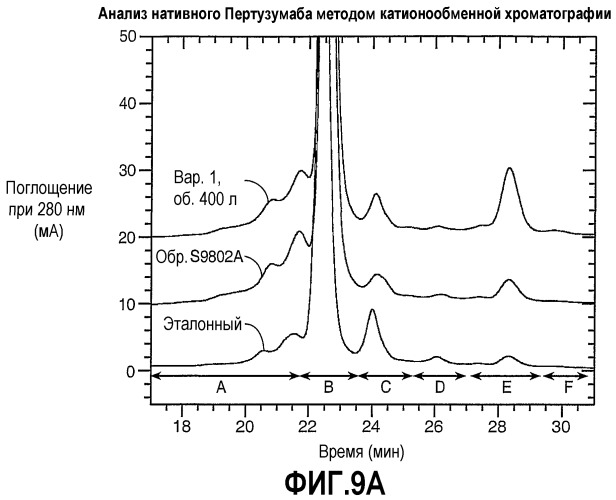 Композиция антител к her2 (патент 2361880)