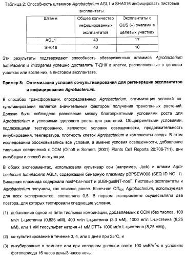 Улучшенная трансформация сои (патент 2389797)