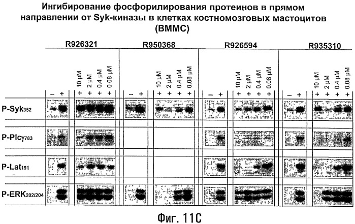 Способы лечения или профилактики аутоиммунных заболеваний с помощью соединений 2,4-пиримидиндиамина (патент 2491071)